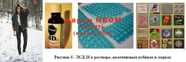 прущие грибы Алзамай