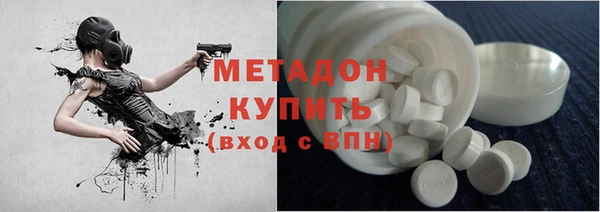 прущие грибы Алзамай