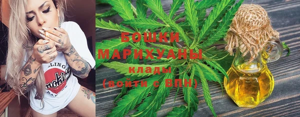 прущие грибы Алзамай